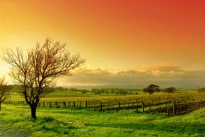 Glorious sunset over rural farmlands.