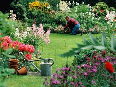 Man working in flower garden.