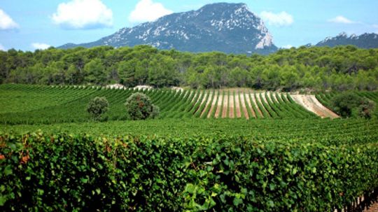 终极指南郎格多克鲁西荣葡萄酒产区”width=