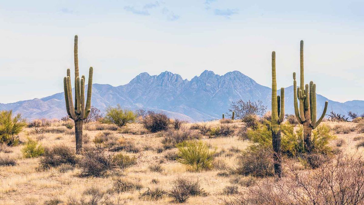 El desierto más grande del mundo.