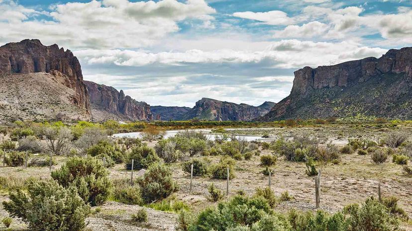 Desert Patagonia