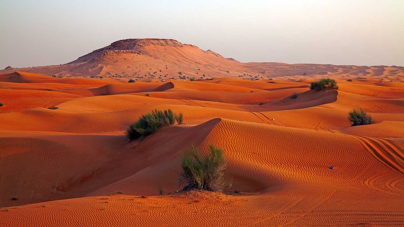 Arabian desert