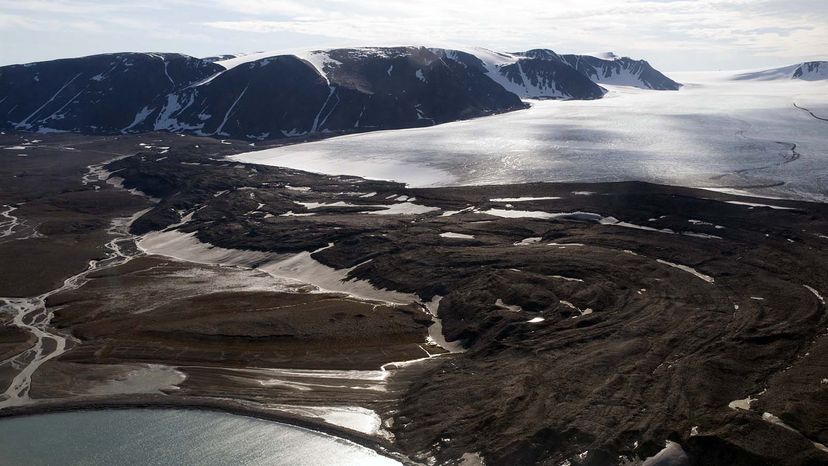 arctic desert