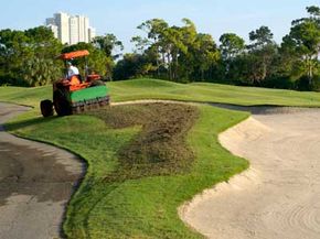 A tractor aerates a golf course, leaving behind plugs of soil in its path.