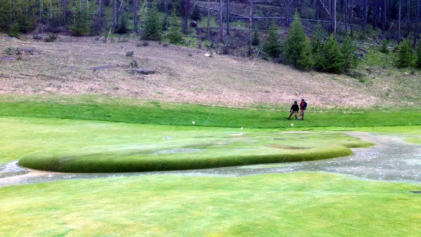 lawn bubble on golf course