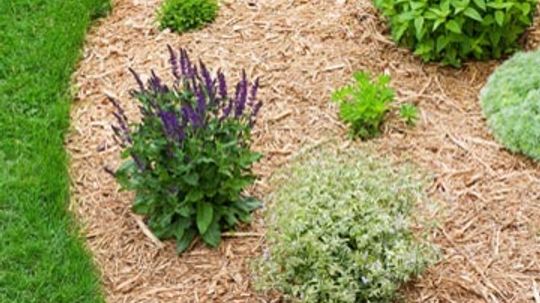 How Lawn Edging Works