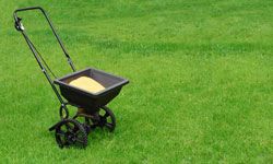 does fertilizing help or hurt my lawn