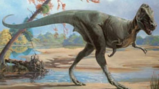 late cretaceous dinosaurs