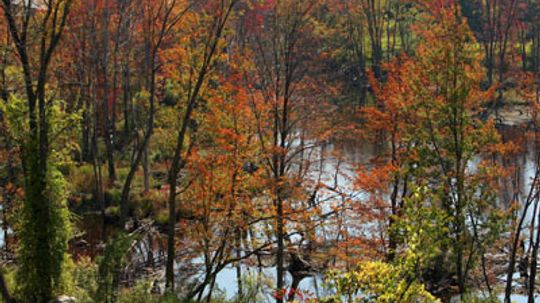 Top 10 New England Leaf-peeping Locales