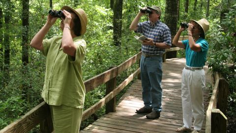 4 Unexpected Places Where Adults Can Learn Science - Vimarsana News