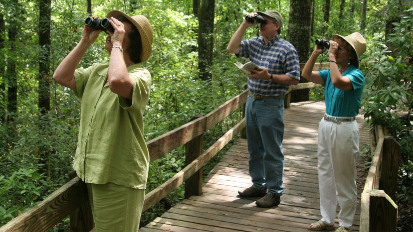 Adult people looking through binoculars