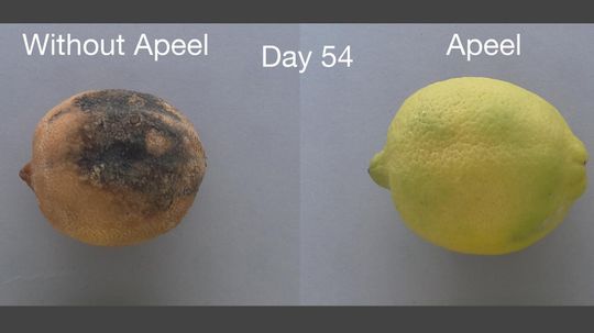 Natural Spray Triples Shelf Life of Fruits and Vegetables