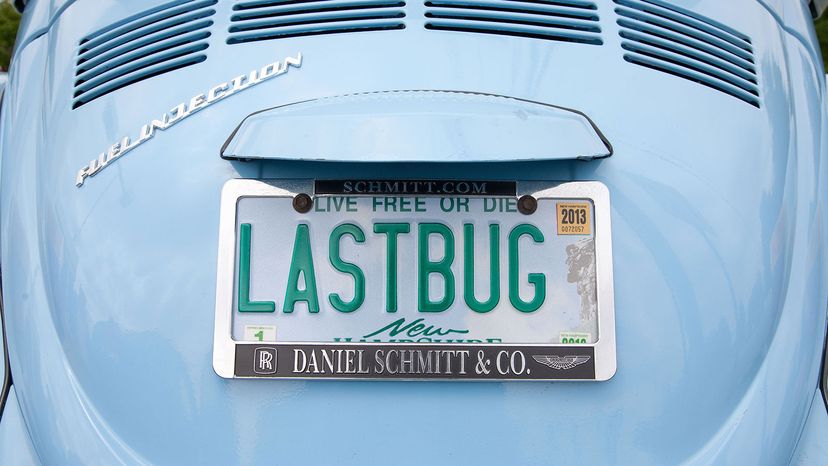 Last bug vanity plate