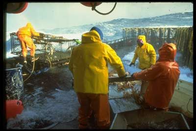 Wet Weather Gear for Commercial Deckhands