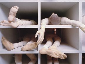 shelf with dummy limbs