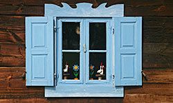 Keep lime away from your windows and other surfaces with these helpful tips.