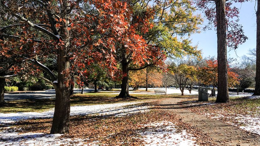 Olmsted Linear Park