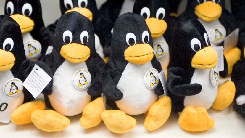 Tiny Linux penguins are seen for sale at the 2004 Linuxworld Conference and Expo at the Moscone Center in San Francisco