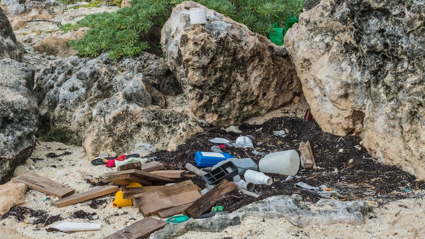 littering the landscape