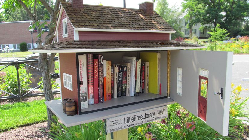 little free library, Bol