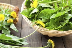Dandelions may be considered weeds by many, but they have a great nutritional profile.
