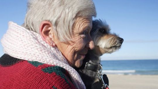 Can owning a pet help you live longer?