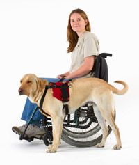 girl in wheelchair with service dog