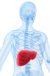 What exactly does a liver cleanse entail?