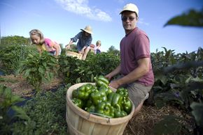 Farmers at EcoVillage 