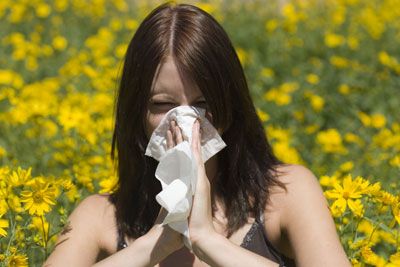 An allergy sufferer.