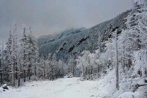 snow on green mountain