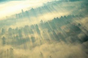 fog on green mountain