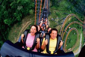 While you're screaming your head off on a roller coaster, it's possible you  might lose your memory too.