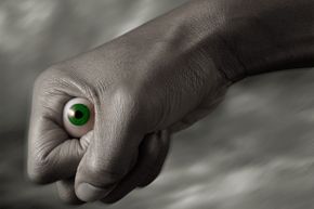 Prosthetic eyes have been recovered at least twice from amusement parks.