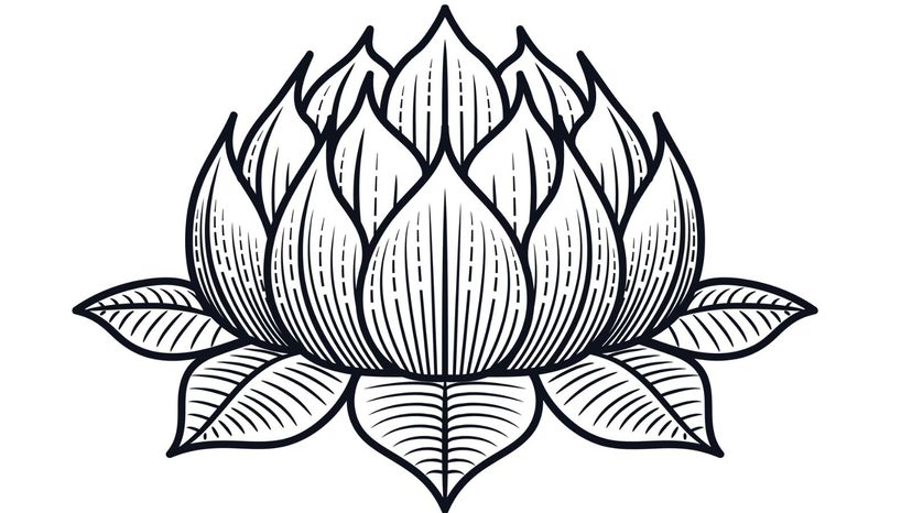 Lotus Flower Tattoo
