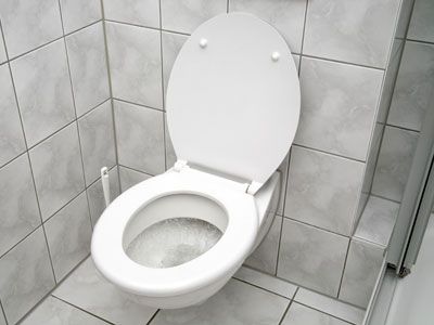 low flow toilet