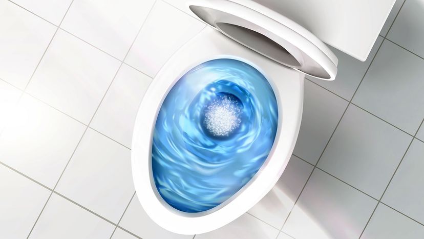 The Ultimate Guide to Buying the Best Toilet