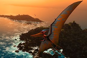 For years, researchers doubted pterosaurs' flying abilities, but we now know just how well their strong arms and lightweight wings helped launch them through the sky.