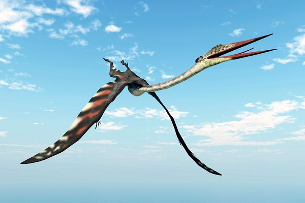 quetzalcoatlus