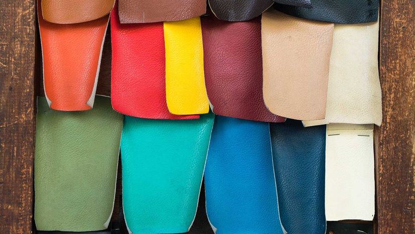 What is Vegan Leather? All You Need to Know Before You Buy