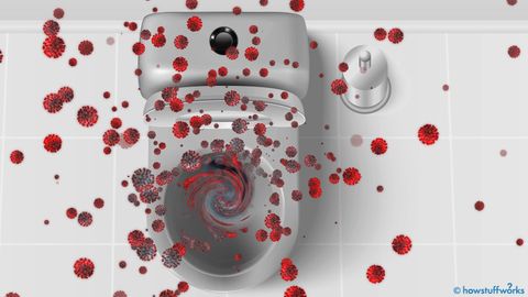 How to Safely Use Public Bathrooms in the Age of Coronavirus - Vimarsana News