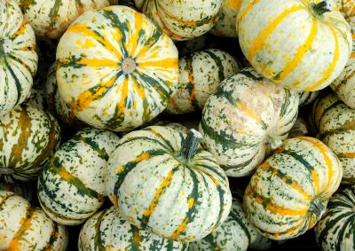 pile of small white and green pumpkins