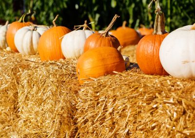 pumpkins displayed on a hay bale