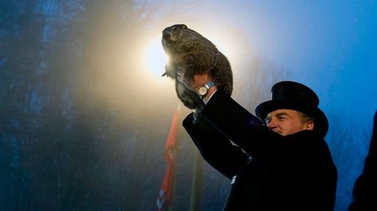 Punxsutawney Phil的准确性如何？“border=