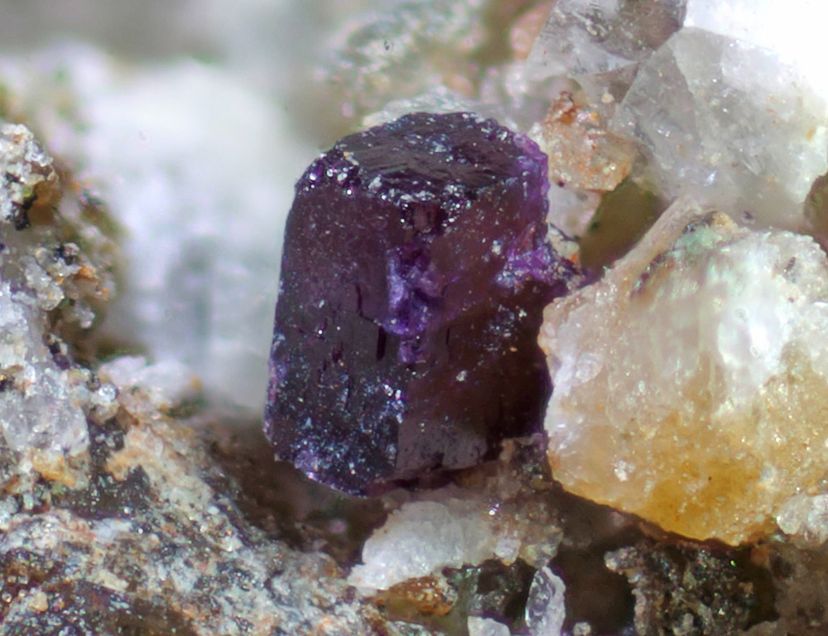 Putnisite is a newly discovered mineral that occurs as tiny crystals on volcanic rock. One such crystal, just 0.4 millimeters across, shown here, was recently found at the Armstrong mine in Widgiemooltha, Western Australi