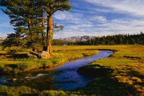 早春的融雪填满了Budd Creek，流经Tuolumne草场的草地。＂border=