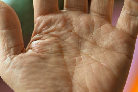 Palm Reading: Decoding the Secrets of Your Hands - Vimarsana News