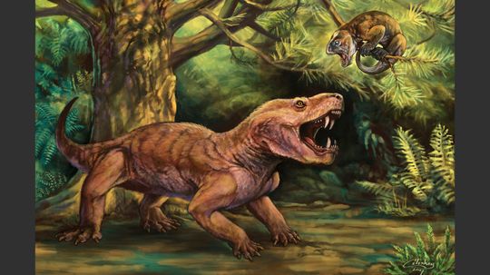 您不知道的5件事Paleoart”border=
