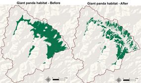 panda habitat change map