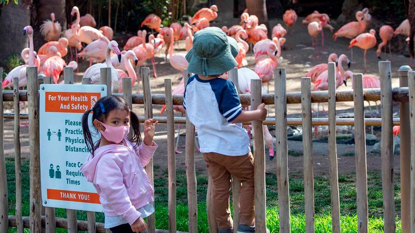 Los Angeles Zoo 